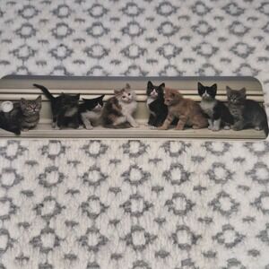 Vtg 1992 Antioch Cat Bookmark Kittens Pet Animal Art Paper Rare 90s Gift Collect